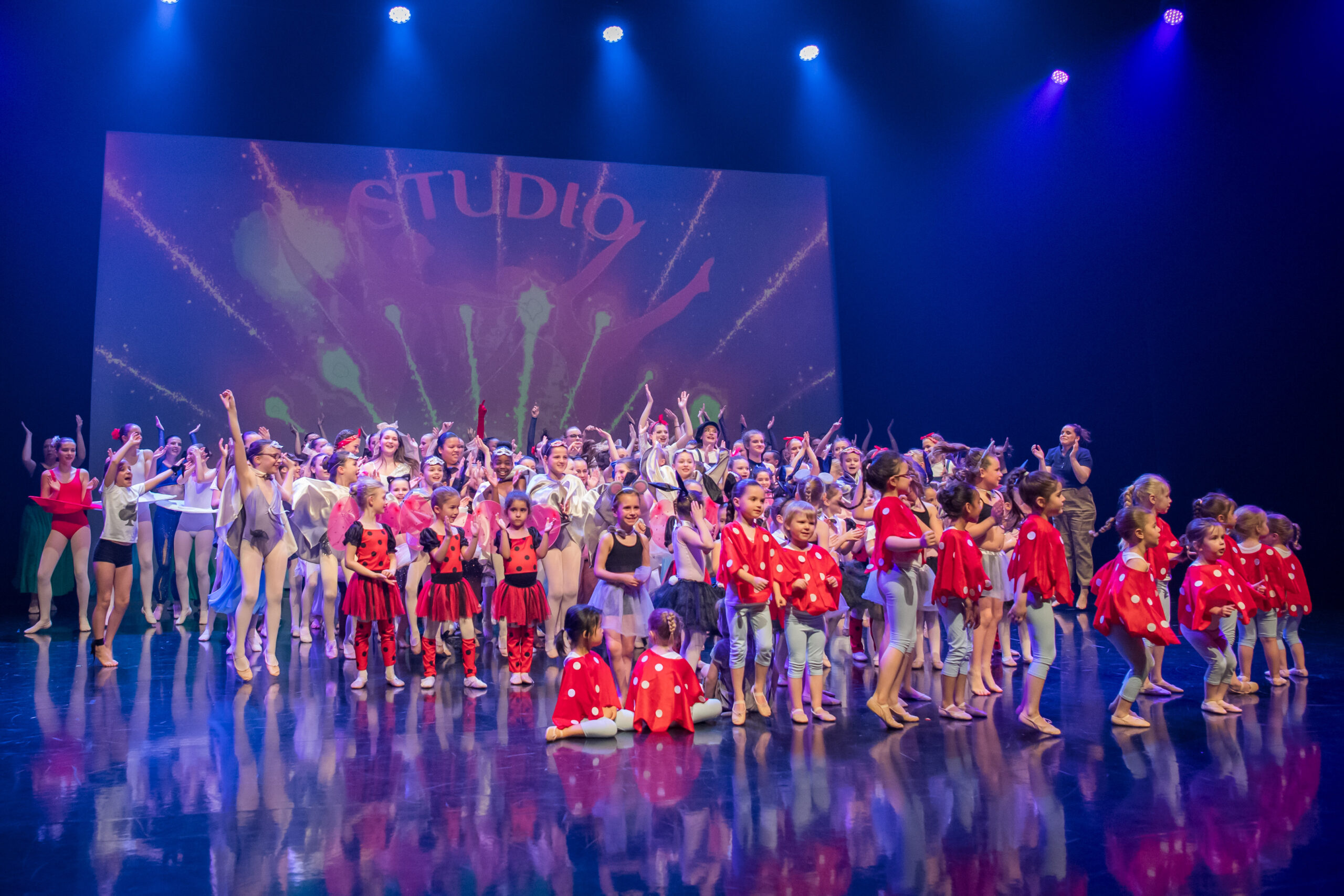 Studio Arabesque - Alice au Pays des Merveilles