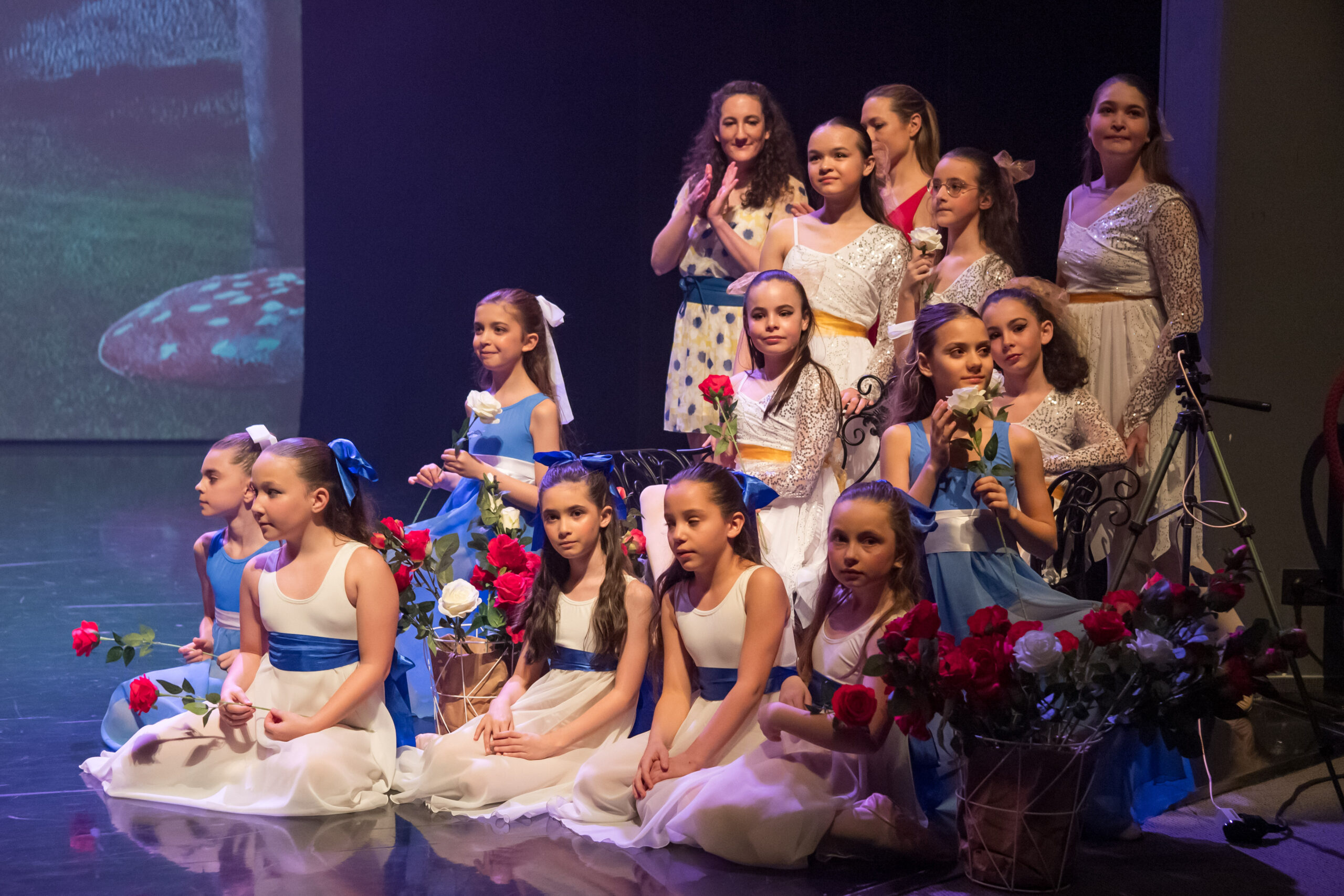 Studio Arabesque - Alice au pays des merveilles 2024